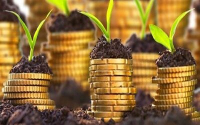 O lucrativo encontro entre o Agronegócio e o Mercado Financeiro