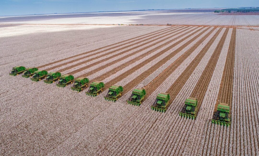 O Crescimento Do Pib Do Agro Nos últimos Anos • Akkwa